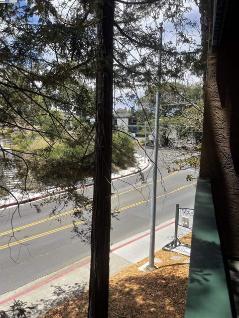 185 Sierra Dr, Walnut Creek CA: https://media.crmls.org/mediaz/61ad86fc-d0bd-4e81-8097-a9ed328e9f6f.jpg