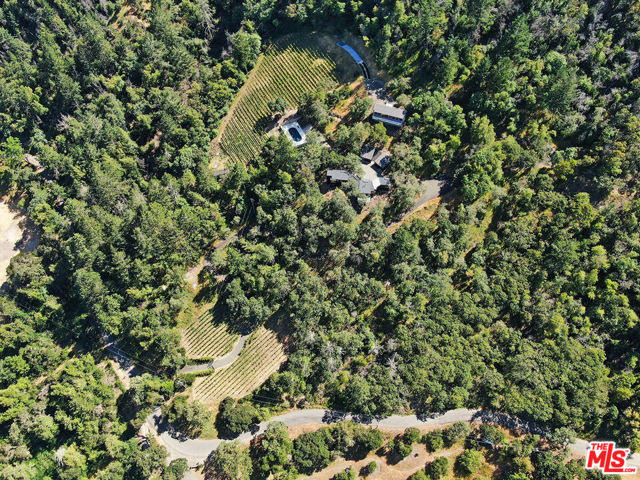 351 Wall Road, Napa CA: https://media.crmls.org/mediaz/61ae5756-163f-44e3-bae8-9e959ddc5833.jpg