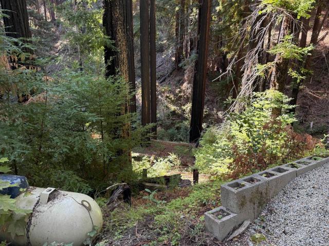 449 Band Road, Boulder Creek CA: https://media.crmls.org/mediaz/61c277ff-4cae-4cd4-8e6d-2da5a71377d6.jpg