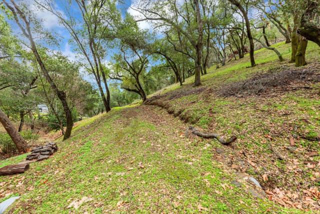 3005 Tohara Way, Morgan Hill CA: https://media.crmls.org/mediaz/61c7dac2-251e-424f-a6bf-7eb47b819937.jpg