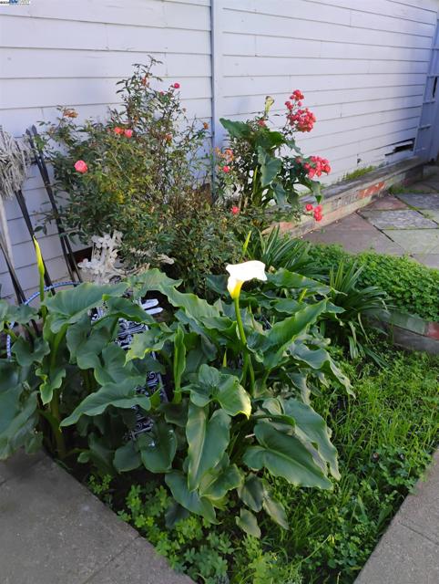 2621 66th Avenue, Oakland CA: https://media.crmls.org/mediaz/61c8f5ac-5924-4783-ab29-3188c6c89396.jpg