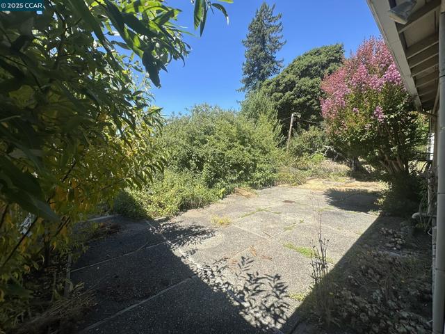120 Sexton Rd, Sebastopol CA: https://media.crmls.org/mediaz/61cbd656-c2d2-40cc-bf68-27705154b461.jpg
