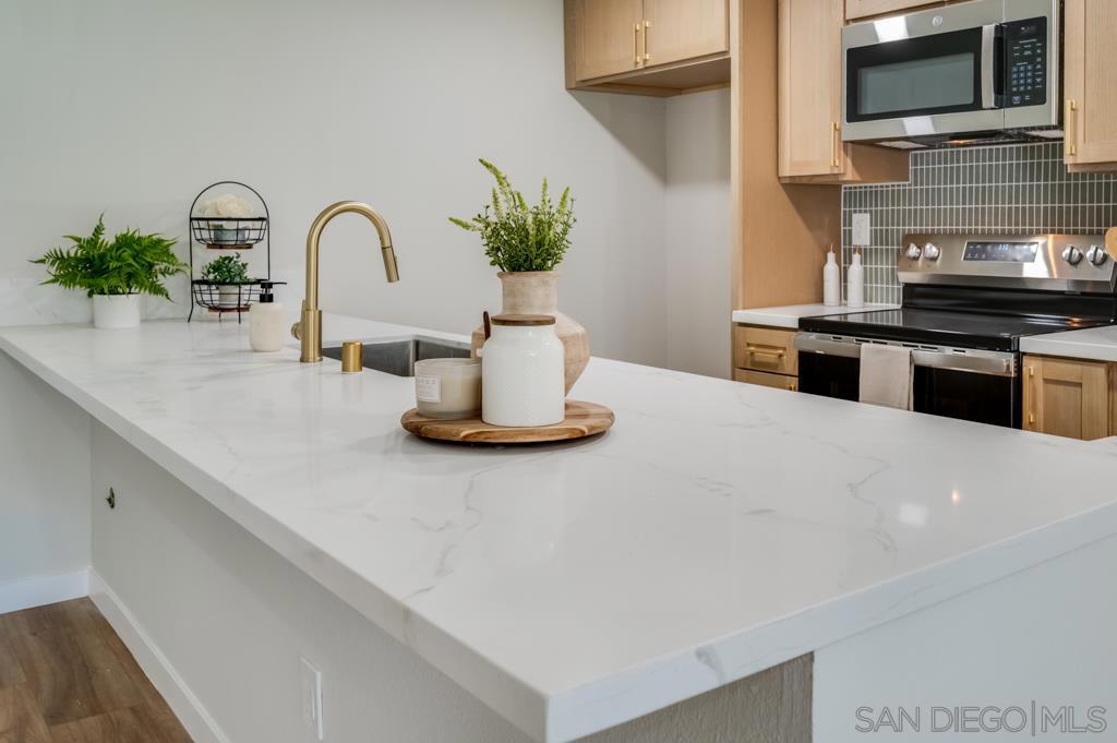 10737 San Diego Mission Rd - photo 5