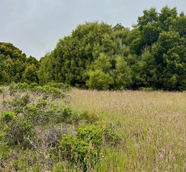 0 Bonita, Half Moon Bay CA: https://media.crmls.org/mediaz/61d1a13a-0895-4399-a5f0-b9fd6be152b5.jpg