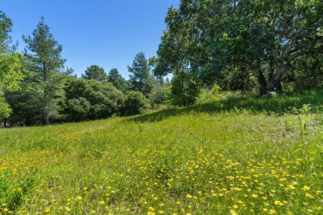 23 Tehama (Homesite 40), Carmel CA: https://media.crmls.org/mediaz/61db3e8c-96bd-4307-9e17-a04b6e320398.jpg