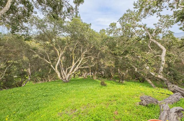 9066 Coker Road, Salinas CA: https://media.crmls.org/mediaz/61df58ae-76e8-448b-8dd9-88a46d9becf4.jpg