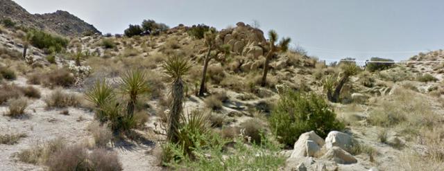 57302 Bandera Road, Yucca Valley CA: https://media.crmls.org/mediaz/61e2bd7a-691a-4ece-b11b-5f36e30581f0.jpg