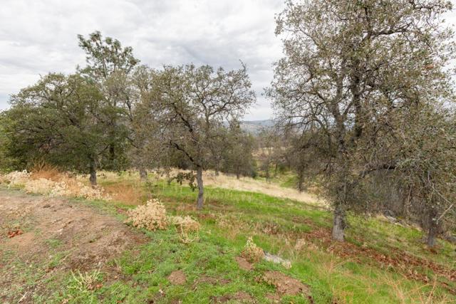 41508 Roaring River Court, Coarsegold CA: https://media.crmls.org/mediaz/61ecab94-4dd4-4579-8a87-47fb40a9be5b.jpg