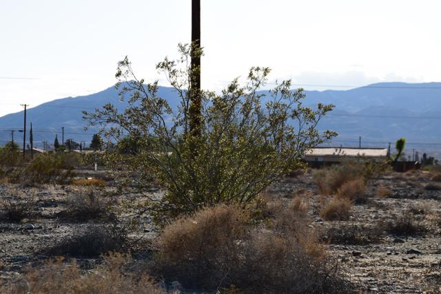 2833 Beachcomber Avenue, Thermal CA: https://media.crmls.org/mediaz/61ed27e2-31cd-41be-8906-3a5a8c3c9941.jpg