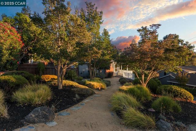 151 Andrea Drive, Walnut Creek CA: https://media.crmls.org/mediaz/61f01123-301f-433b-8f77-4e8f08a30bca.jpg