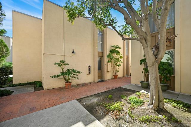 4881 Collwood Blvd, San Diego CA: https://media.crmls.org/mediaz/61f6f0a5-2f6c-4720-bf01-cbe16bd2f776.jpg