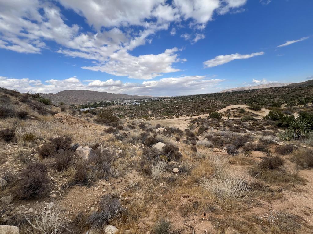 MLS #219138996DA image #9