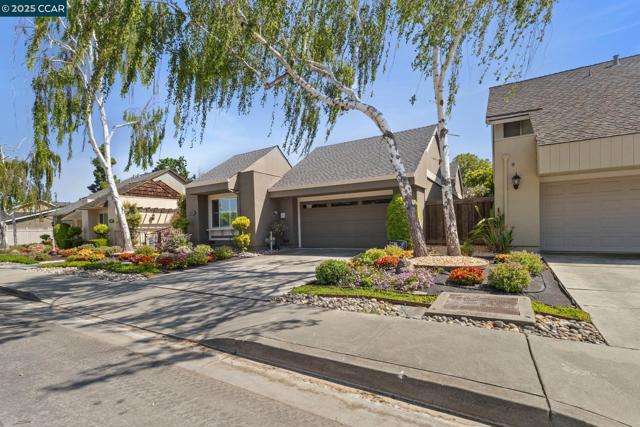 1911 Morse St, Santa Clara CA: https://media.crmls.org/mediaz/622dc897-3472-4600-b11a-8f2cbe56a13f.jpg