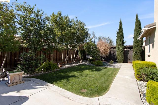 2469 Talaria Dr, Oakley CA: https://media.crmls.org/mediaz/6236d89d-b4f7-46c3-a1e3-68b09b37acb4.jpg