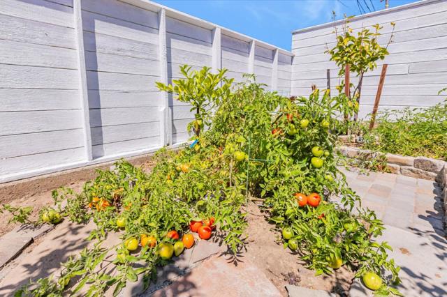 214 Manor Drive, South San Francisco CA: https://media.crmls.org/mediaz/62396190-2158-4c09-a038-fbf891337dca.jpg