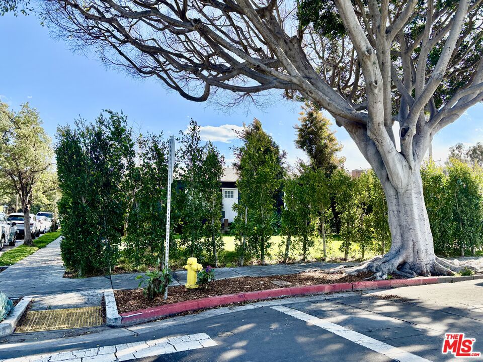 2850 Delaware Avenue