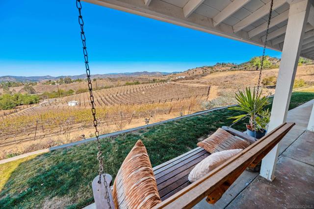 Back patio looking over grape vines