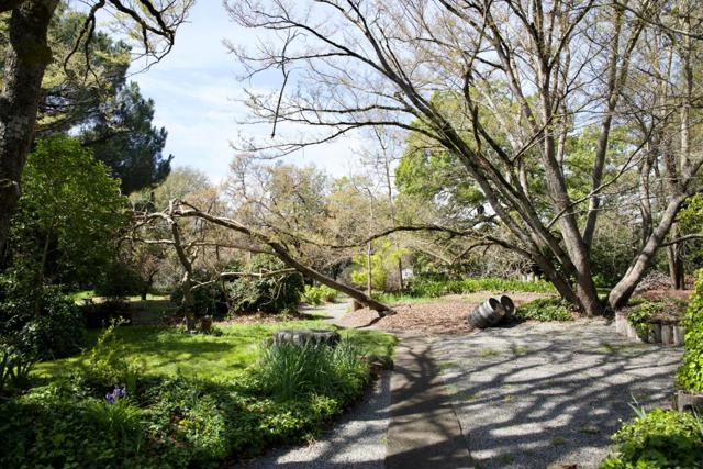 9989 Oak Street, Penngrove CA: https://media.crmls.org/mediaz/6244effd-4c3f-4137-9328-93db1f3661b3.jpg