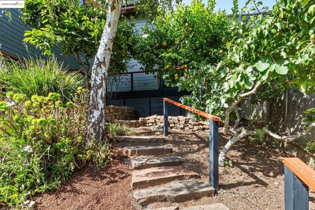 1148 Cragmont Ave, Berkeley CA: https://media.crmls.org/mediaz/624c9948-dad4-48bd-b6c6-da8486363e1f.jpg