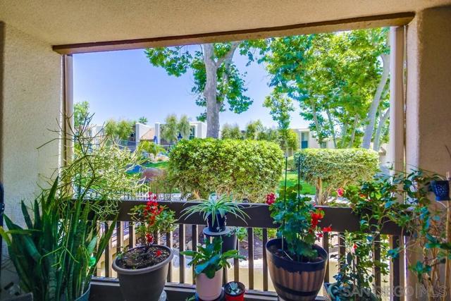 5350 Baltimore Drive, La Mesa CA: https://media.crmls.org/mediaz/62552e3d-03bb-4865-8f35-48bd6bc78b82.jpg