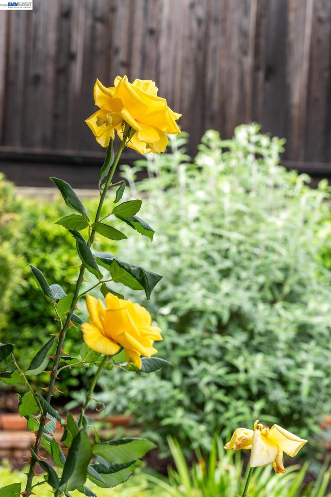 https://media.crmls.org/mediaz/6256aef5-bd76-470d-bbf3-97c227060140.jpg?preset=X-Large