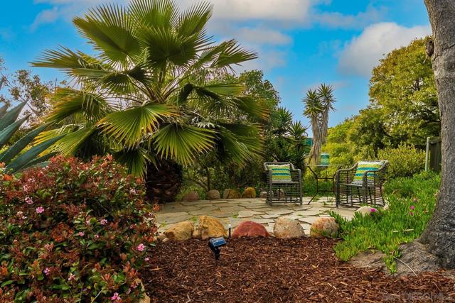 6318 Castejon Drive, La Jolla, California 92037, 3 Bedrooms Bedrooms, ,3 BathroomsBathrooms,Single Family Residence,For Sale,Castejon Drive,240017377SD