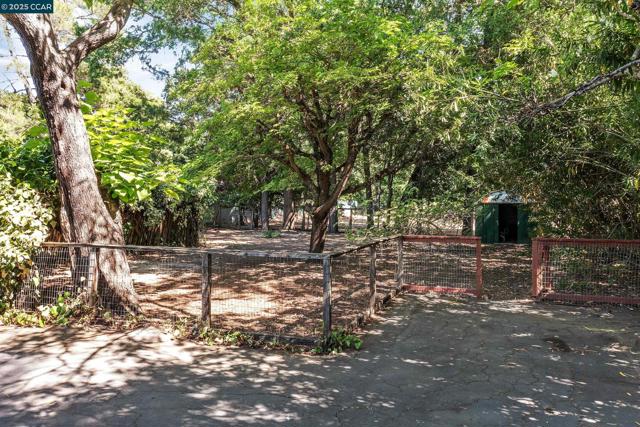 51 Bolla Ave, Alamo CA: https://media.crmls.org/mediaz/625a20b6-9374-431d-ac0f-84de7d93b19b.jpg