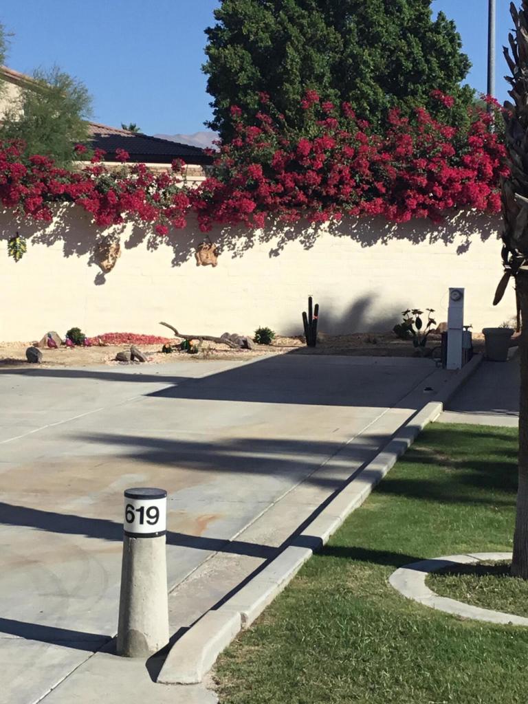 MLS #219132776DA image #5