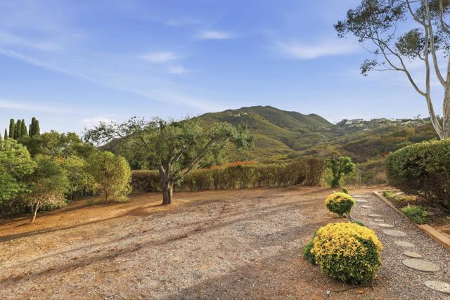 MLS #250044006SD image #63