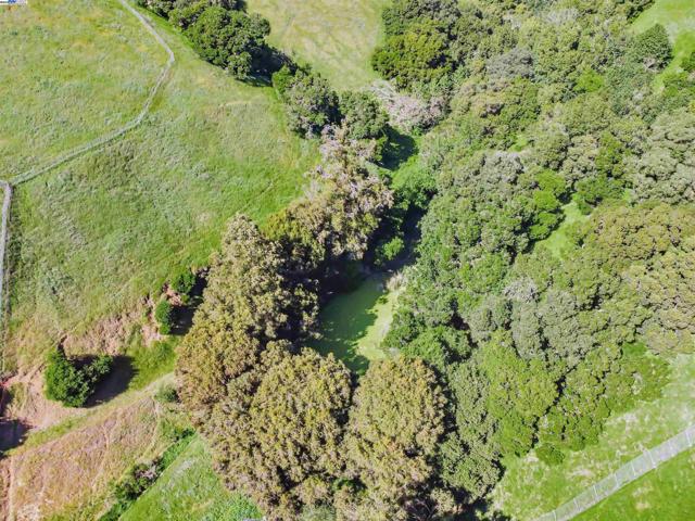 41794 Vargas Rd, Fremont CA: https://media.crmls.org/mediaz/625f0d17-b4a2-4ffc-9c6e-ed145c13a6d0.jpg