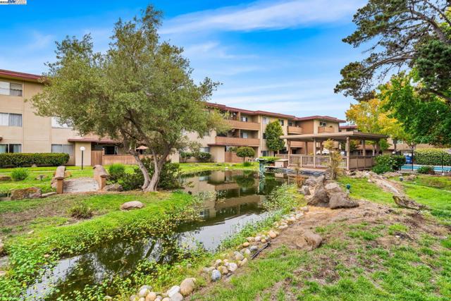 1327 Webster St, Alameda CA: https://media.crmls.org/mediaz/62602a09-3db9-49c8-83c1-71b23c3ba463.jpg