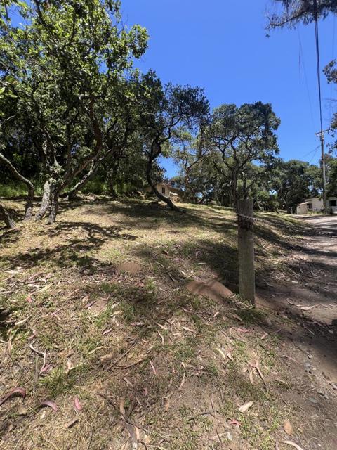 17160 Wilson Way, Royal Oaks CA: https://media.crmls.org/mediaz/62618da2-469c-4fff-86cc-84252e85ae44.jpg