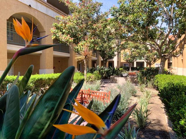 Detail Gallery Image 4 of 23 For 1950 Camino De La Reina #106,  San Diego,  CA 92108 - 2 Beds | 2 Baths