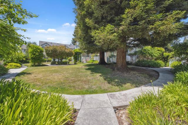 113 Claremont Terrace, Santa Cruz CA: https://media.crmls.org/mediaz/6263d486-c1a6-40c5-ab96-23d3a01602f7.jpg