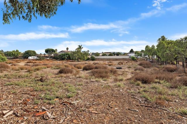 Detail Gallery Image 41 of 65 For 2205 Leon Ave, San Diego,  CA 92154 - 3 Beds | 2 Baths