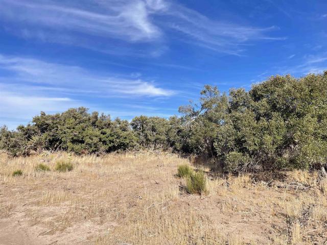 Detail Gallery Image 4 of 7 For 21 .68 Acres Tierra Del Sol Rd, Boulevard,  CA 91905 - – Beds | – Baths