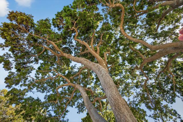 Detail Gallery Image 5 of 35 For 1721 Joanne Way, Oxnard,  CA 93030 - 4 Beds | 2 Baths