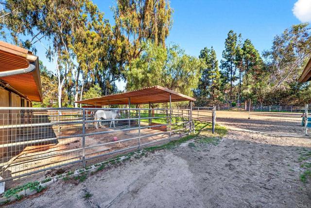 Image 19 of 29 For 916 Mimosa  