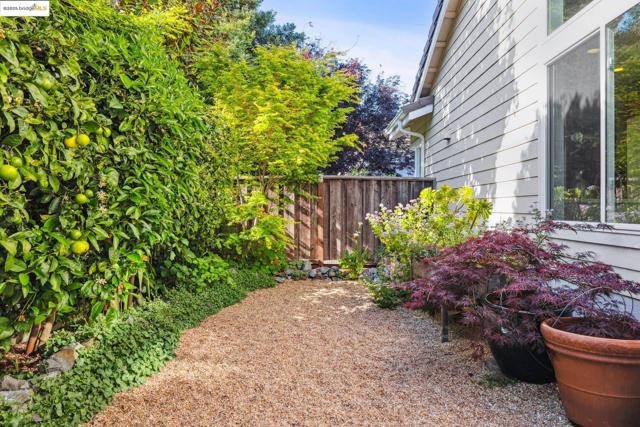 26 Farallon Ct, Richmond CA: https://media.crmls.org/mediaz/627636d3-7968-4393-912f-d6c79457cfe2.jpg