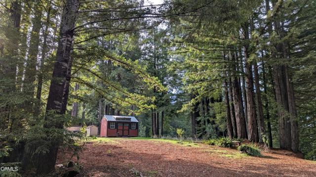 Front Image Thumbnail for CRC1-11202