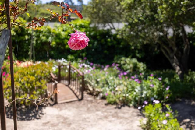 1255 Josselyn Canyon Road, Monterey CA: https://media.crmls.org/mediaz/6286d272-4418-4088-bdbd-40cca4dc4cb6.jpg