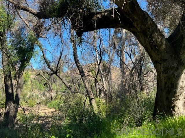 0 Bunny Dr.,  CA: https://media.crmls.org/mediaz/628a3830-67e9-469d-be48-90152d2a5b96.jpg