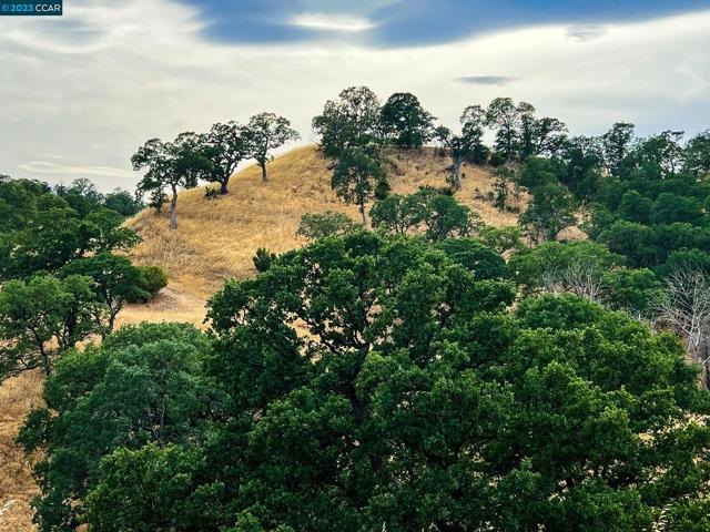 0 Lot 22 Rolling Oaks, Cottonwood CA: https://media.crmls.org/mediaz/628d8d29-9e39-4b5a-8e9b-9ca3a0e661c9.jpg