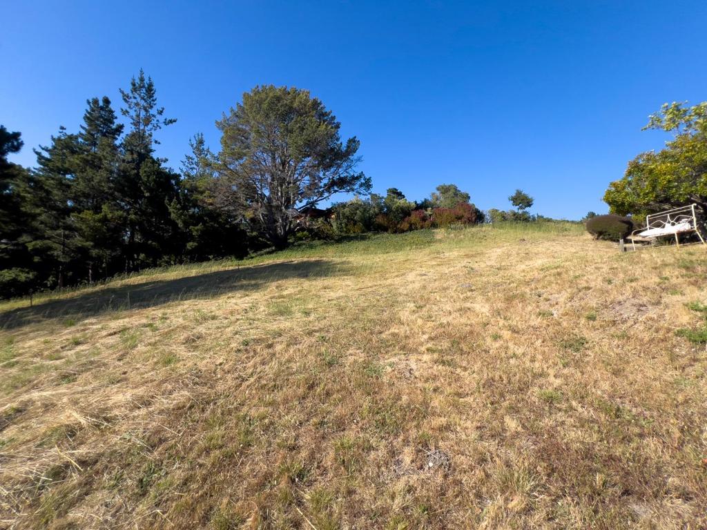 MLS #ML81971263 image #6