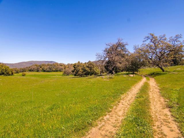 Detail Gallery Image 18 of 42 For 342 Acres Mesa Grande Rd, Santa Ysabel,  CA 92070 - – Beds | – Baths