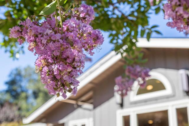 19273 Citrus Lane, Saratoga CA: https://media.crmls.org/mediaz/62a587b1-063f-4356-ab2d-259dd87a50f5.jpg