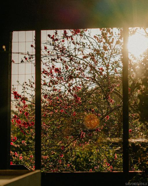 4744 Resmar Rd, La Mesa CA: https://media.crmls.org/mediaz/62b65f55-185a-4768-87c4-10bbb716efd5.jpg