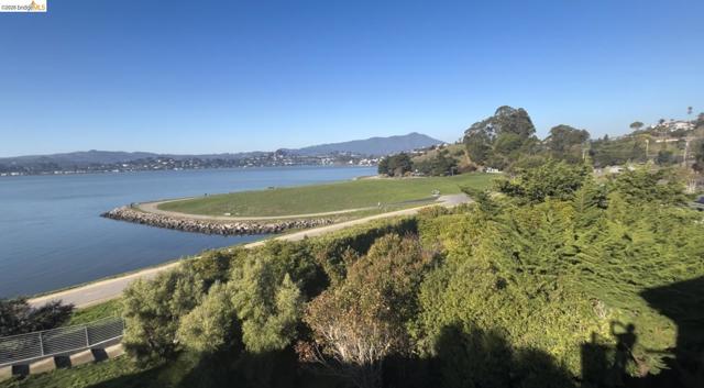 20 Bayshore TER, Tiburon CA: https://media.crmls.org/mediaz/62c01039-295f-4652-b08b-f726f533ef9e.jpg