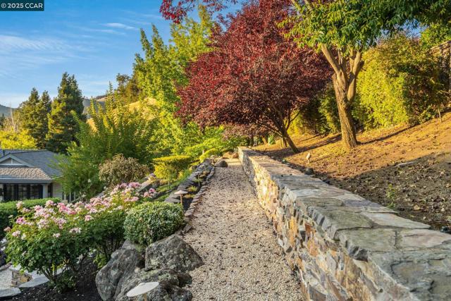 51 Brightwood Cir, Danville CA: https://media.crmls.org/mediaz/62ce41ec-e618-44d8-ad32-80d070686d4a.jpg