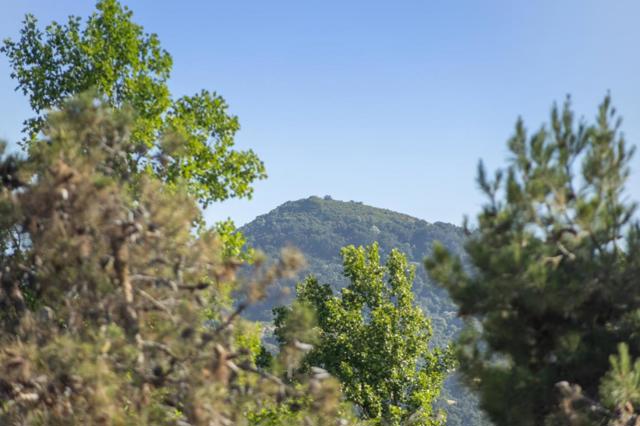 19011 Clayton Avenue, Morgan Hill CA: https://media.crmls.org/mediaz/62f04652-86db-4515-ba03-72dd272d648b.jpg